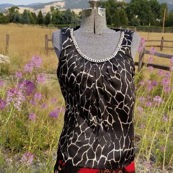 Dana Buchman Tops - NWOT Dana Buchman Top with Chain Collar